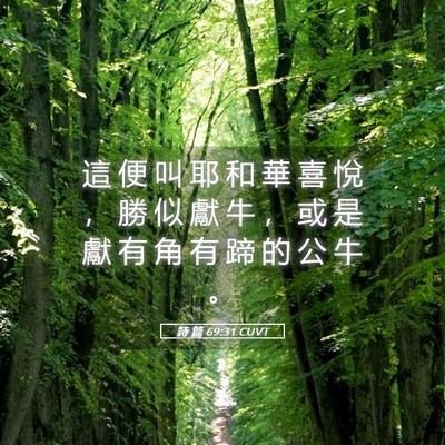 Picture 05 - 詩 篇 69:31 CUVT - 這 便 叫 耶 和 華 喜 悅 ， 勝 似 獻 - Bible Verse Picture