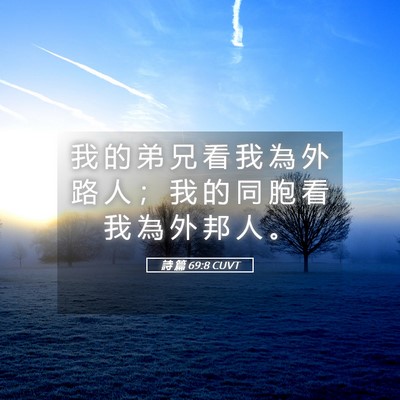 Picture 05 - 詩 篇 69:8 CUVT - 我 的 弟 兄 看 我 為 外 路 人 ； 我 - Bible Verse Picture