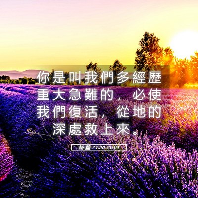 Picture 05 - 詩 篇 71:20 CUVT - 你 是 叫 我 們 多 經 歷 重 大 急 難 - Bible Verse Picture
