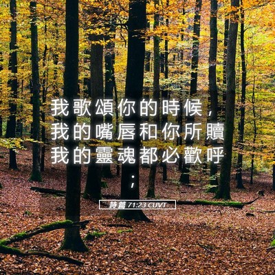 Picture 05 - 詩 篇 71:23 CUVT - 我 歌 頌 你 的 時 候 ， 我 的 嘴 唇 - Bible Verse Picture