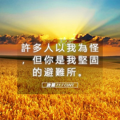 Picture 05 - 詩 篇 71:7 CUVT - 許 多 人 以 我 為 怪 ， 但 你 是 我 - Bible Verse Picture