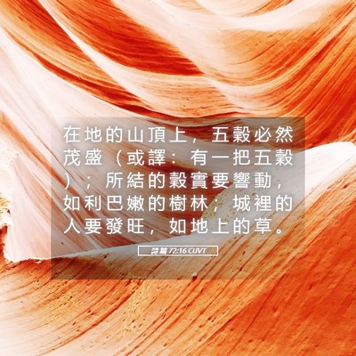 Picture 05 - 詩 篇 72:16 CUVT - 在 地 的 山 頂 上 ， 五 穀 必 然 茂 - Bible Verse Picture