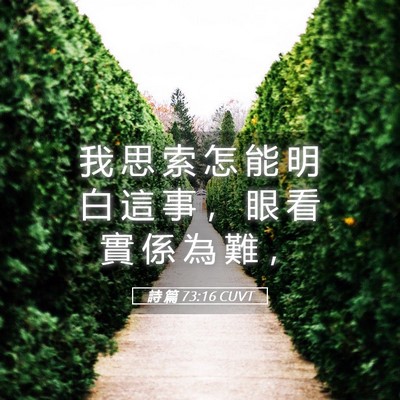 Picture 05 - 詩 篇 73:16 CUVT - 我 思 索 怎 能 明 白 這 事 ， 眼 看 - Bible Verse Picture