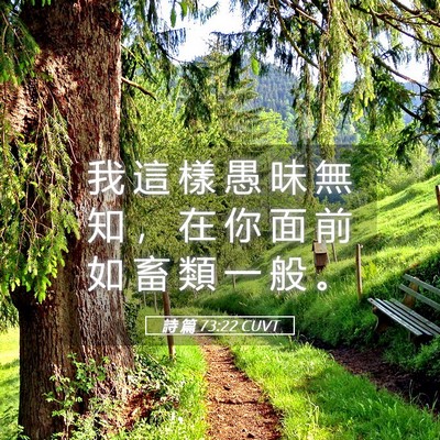 Picture 05 - 詩 篇 73:22 CUVT - 我 這 樣 愚 昧 無 知 ， 在 你 面 前 - Bible Verse Picture