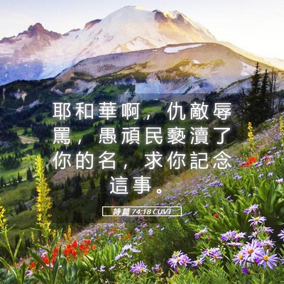 Picture 05 - 詩 篇 74:18 CUVT - 耶 和 華 啊 ， 仇 敵 辱 罵 ， 愚 頑 - Bible Verse Picture