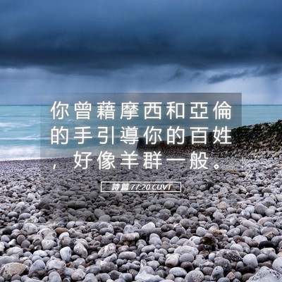 Picture 05 - 詩 篇 77:20 CUVT - 你 曾 藉 摩 西 和 亞 倫 的 手 引 導 - Bible Verse Picture