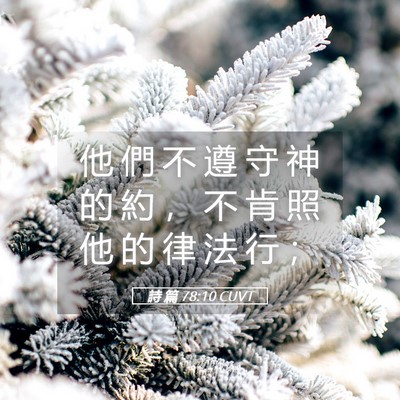Picture 05 - 詩 篇 78:10 CUVT - 他 們 不 遵 守 神 的 約 ， 不 肯 照 - Bible Verse Picture