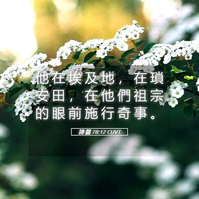 Picture 05 - 詩 篇 78:12 CUVT - 他 在 埃 及 地 ， 在 瑣 安 田 ， 在 - Bible Verse Picture