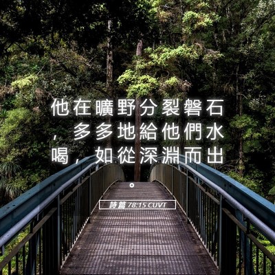 Picture 05 - 詩 篇 78:15 CUVT - 他 在 曠 野 分 裂 磐 石 ， 多 多 地 - Bible Verse Picture