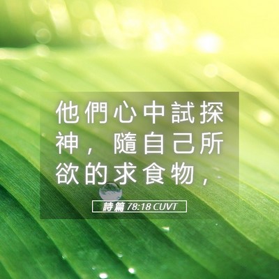 Picture 05 - 詩 篇 78:18 CUVT - 他 們 心 中 試 探 神 ， 隨 自 己 所 - Bible Verse Picture