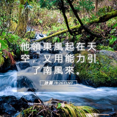 Picture 05 - 詩 篇 78:26 CUVT - 他 領 東 風 起 在 天 空 ， 又 用 能 - Bible Verse Picture