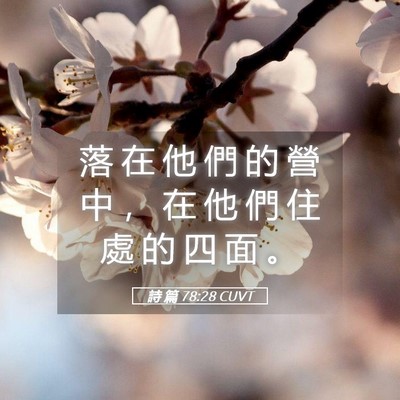 Picture 05 - 詩 篇 78:28 CUVT - 落 在 他 們 的 營 中 ， 在 他 們 住 - Bible Verse Picture