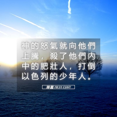 Picture 05 - 詩 篇 78:31 CUVT - 神 的 怒 氣 就 向 他 們 上 騰 ， 殺 - Bible Verse Picture