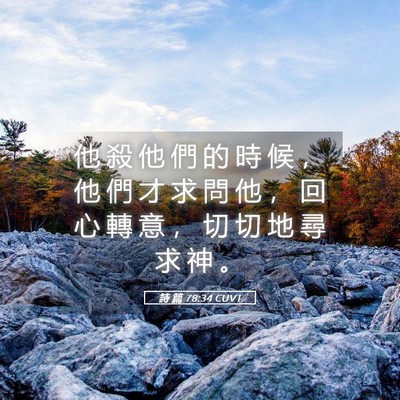 Picture 05 - 詩 篇 78:34 CUVT - 他 殺 他 們 的 時 候 ， 他 們 才 求 - Bible Verse Picture