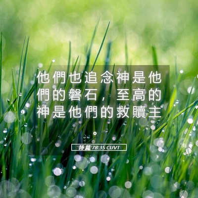 Picture 05 - 詩 篇 78:35 CUVT - 他 們 也 追 念 神 是 他 們 的 磐 石 - Bible Verse Picture