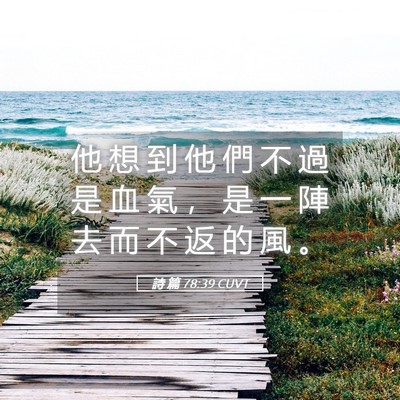 Picture 05 - 詩 篇 78:39 CUVT - 他 想 到 他 們 不 過 是 血 氣 ， 是 - Bible Verse Picture