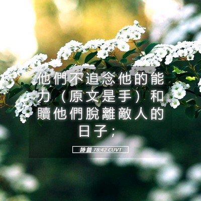 Picture 05 - 詩 篇 78:42 CUVT - 他 們 不 追 念 他 的 能 力 （ 原 文 - Bible Verse Picture
