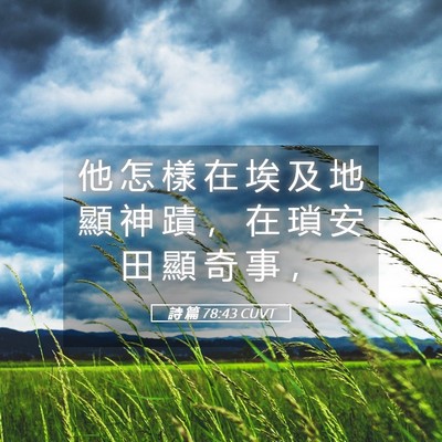 Picture 05 - 詩 篇 78:43 CUVT - 他 怎 樣 在 埃 及 地 顯 神 蹟 ， 在 - Bible Verse Picture