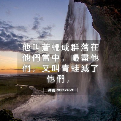 Picture 05 - 詩 篇 78:45 CUVT - 他 叫 蒼 蠅 成 群 落 在 他 們 當 中 - Bible Verse Picture
