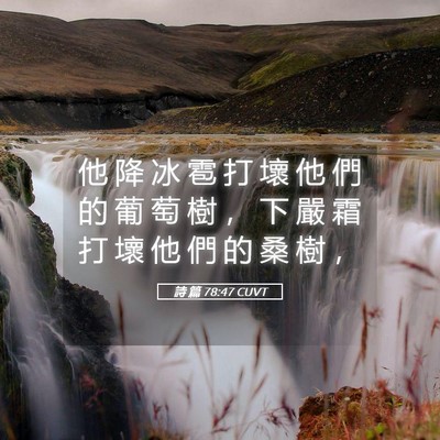 Picture 05 - 詩 篇 78:47 CUVT - 他 降 冰 雹 打 壞 他 們 的 葡 萄 樹 - Bible Verse Picture