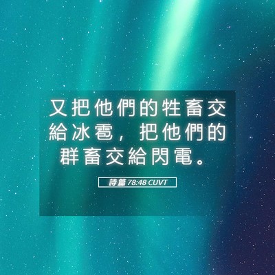 Picture 05 - 詩 篇 78:48 CUVT - 又 把 他 們 的 牲 畜 交 給 冰 雹 ， - Bible Verse Picture