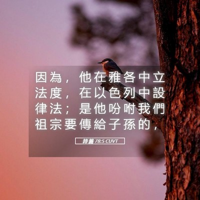 Picture 05 - 詩 篇 78:5 CUVT - 因 為 ， 他 在 雅 各 中 立 法 度 ， - Bible Verse Picture