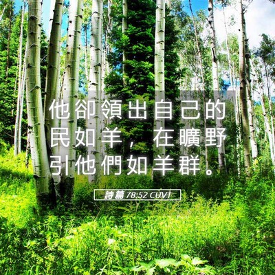 Picture 05 - 詩 篇 78:52 CUVT - 他 卻 領 出 自 己 的 民 如 羊 ， 在 - Bible Verse Picture