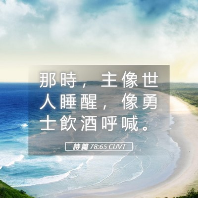 Picture 05 - 詩 篇 78:65 CUVT - 那 時 ， 主 像 世 人 睡 醒 ， 像 勇 - Bible Verse Picture