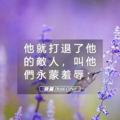 Picture 05 - 詩 篇 78:66 CUVT - 他 就 打 退 了 他 的 敵 人 ， 叫 他 - Bible Verse Picture
