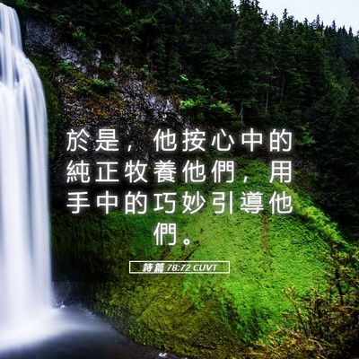 Picture 05 - 詩 篇 78:72 CUVT - 於 是 ， 他 按 心 中 的 純 正 牧 養 - Bible Verse Picture