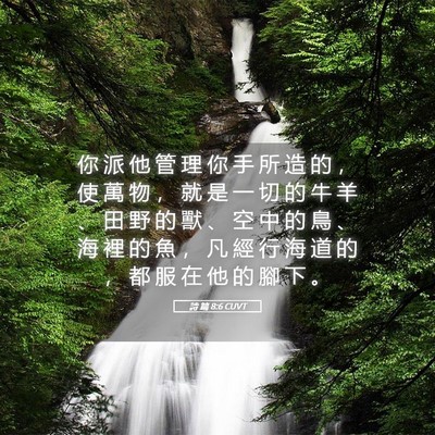 Picture 05 - 詩 篇 8:6 CUVT - 你 派 他 管 理 你 手 所 造 的 ， 使 - Bible Verse Picture