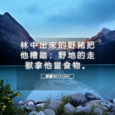 Picture 05 - 詩 篇 80:13 CUVT - 林 中 出 來 的 野 豬 把 他 糟 踏 ； - Bible Verse Picture