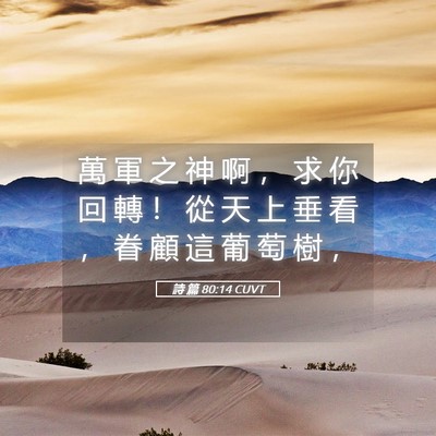 Picture 05 - 詩 篇 80:14 CUVT - 萬 軍 之 神 啊 ， 求 你 回 轉 ！ 從 - Bible Verse Picture