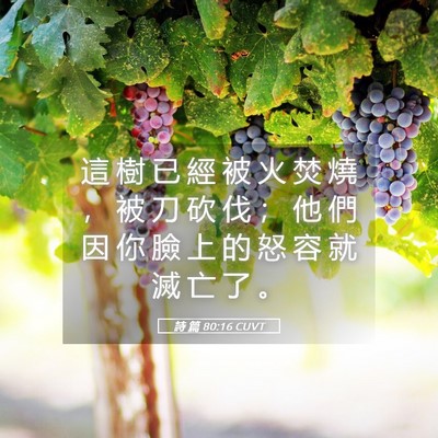 Picture 05 - 詩 篇 80:16 CUVT - 這 樹 已 經 被 火 焚 燒 ， 被 刀 砍 - Bible Verse Picture