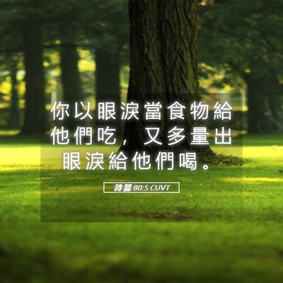 Picture 05 - 詩 篇 80:5 CUVT - 你 以 眼 淚 當 食 物 給 他 們 吃 ， - Bible Verse Picture