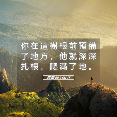 Picture 05 - 詩 篇 80:9 CUVT - 你 在 這 樹 根 前 預 備 了 地 方 ， - Bible Verse Picture