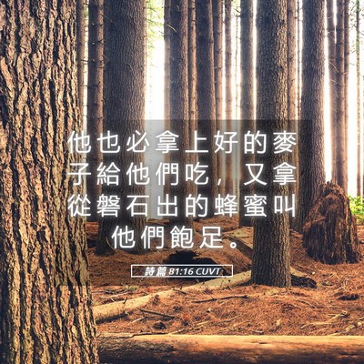 Picture 05 - 詩 篇 81:16 CUVT - 他 也 必 拿 上 好 的 麥 子 給 他 們 - Bible Verse Picture