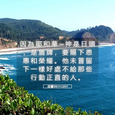 Picture 05 - 詩 篇 84:11 CUVT - 因 為 耶 和 華 ─ 神 是 日 頭 ， 是 - Bible Verse Picture