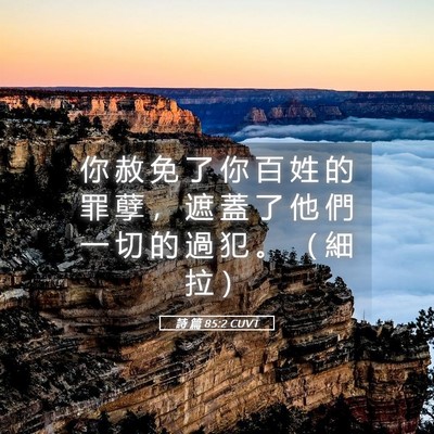 Picture 05 - 詩 篇 85:2 CUVT - 你 赦 免 了 你 百 姓 的 罪 孽 ， 遮 - Bible Verse Picture