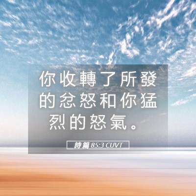 Picture 05 - 詩 篇 85:3 CUVT - 你 收 轉 了 所 發 的 忿 怒 和 你 猛 - Bible Verse Picture