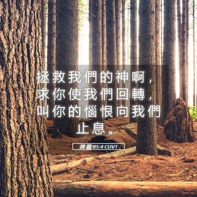 Picture 05 - 詩 篇 85:4 CUVT - 拯 救 我 們 的 神 啊 ， 求 你 使 我 - Bible Verse Picture