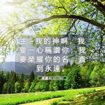 Picture 05 - 詩 篇 86:12 CUVT - 主 ─ 我 的 神 啊 ， 我 要 一 心 稱 - Bible Verse Picture