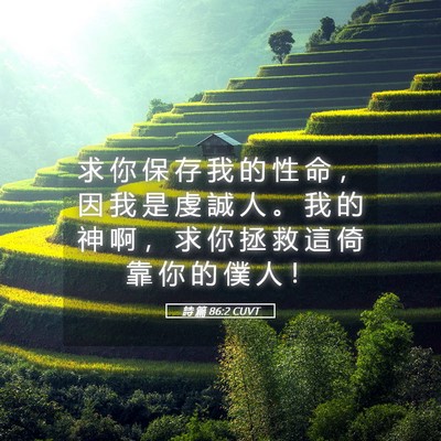 Picture 05 - 詩 篇 86:2 CUVT - 求 你 保 存 我 的 性 命 ， 因 我 是 - Bible Verse Picture