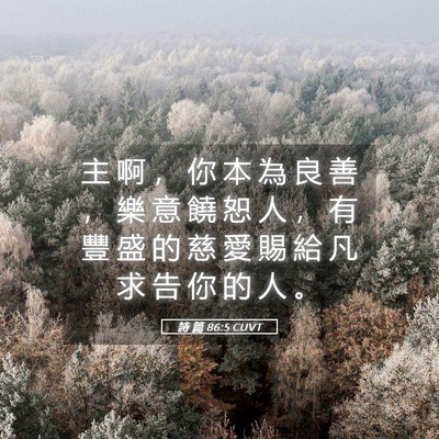 Picture 05 - 詩 篇 86:5 CUVT - 主 啊 ， 你 本 為 良 善 ， 樂 意 饒 - Bible Verse Picture