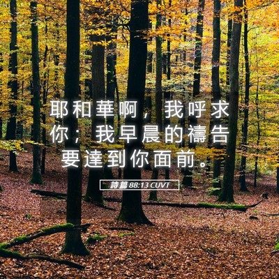 Picture 05 - 詩 篇 88:13 CUVT - 耶 和 華 啊 ， 我 呼 求 你 ； 我 早 - Bible Verse Picture