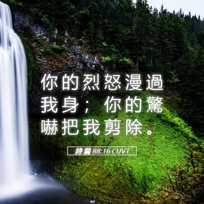 Picture 05 - 詩 篇 88:16 CUVT - 你 的 烈 怒 漫 過 我 身 ； 你 的 驚 - Bible Verse Picture