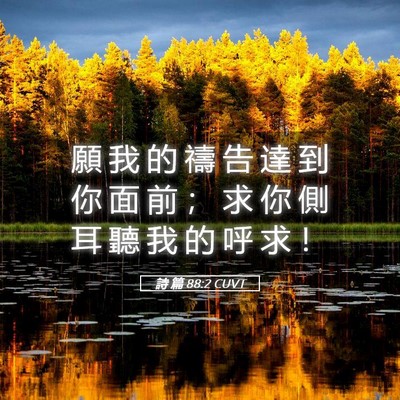 Picture 05 - 詩 篇 88:2 CUVT - 願 我 的 禱 告 達 到 你 面 前 ； 求 - Bible Verse Picture