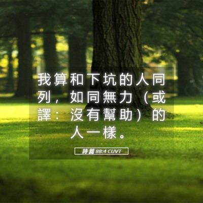 Picture 05 - 詩 篇 88:4 CUVT - 我 算 和 下 坑 的 人 同 列 ， 如 同 - Bible Verse Picture