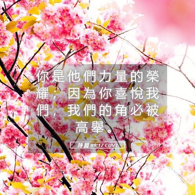 Picture 05 - 詩 篇 89:17 CUVT - 你 是 他 們 力 量 的 榮 耀 ； 因 為 - Bible Verse Picture