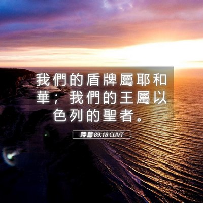 Picture 05 - 詩 篇 89:18 CUVT - 我 們 的 盾 牌 屬 耶 和 華 ； 我 們 - Bible Verse Picture